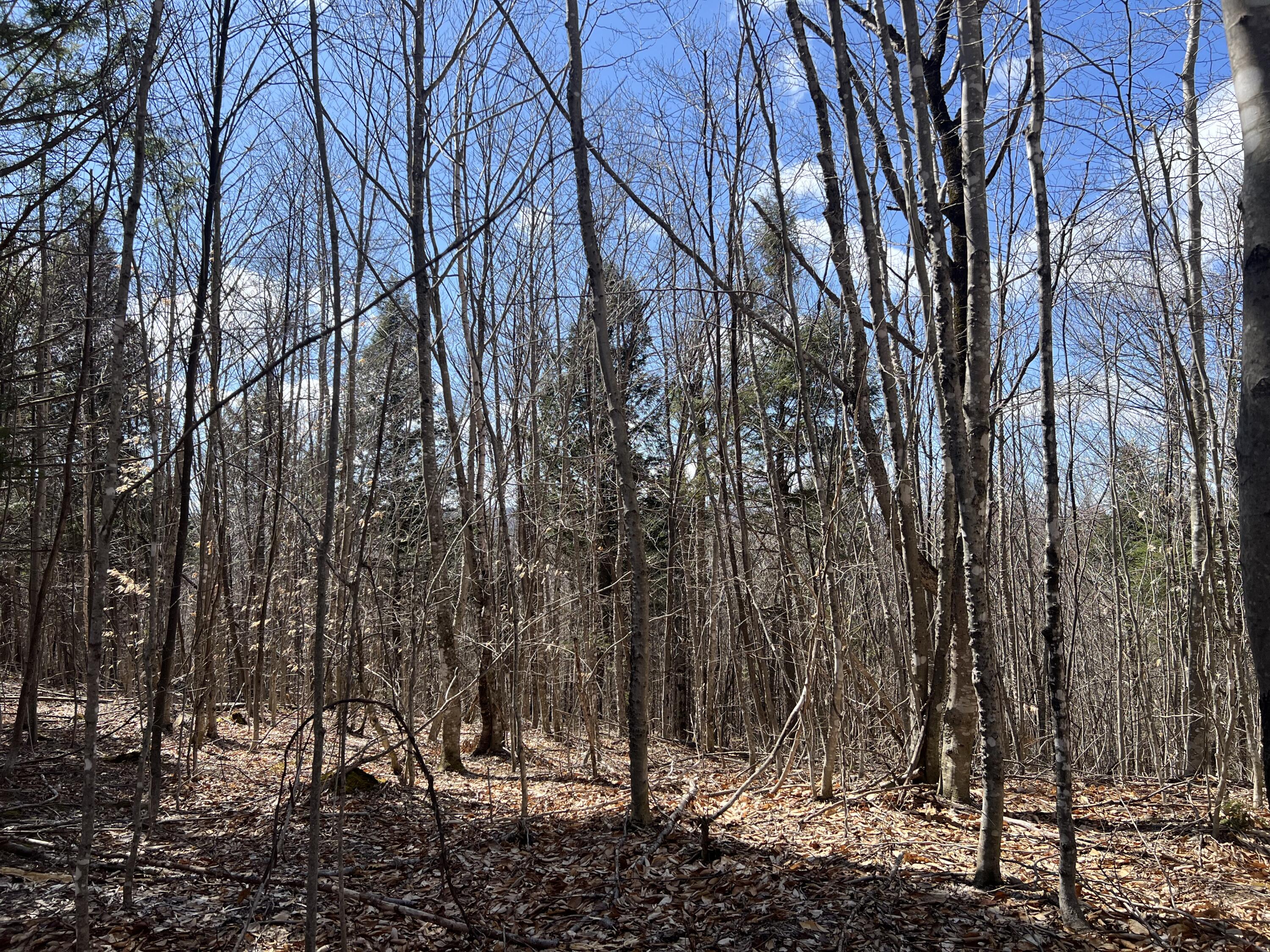 025-026 Between Goodrich N Mahoney Hil Bingham ME 04920