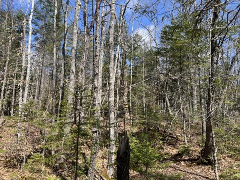 025-026 Between Goodrich N Mahoney Hil Bingham ME 04920