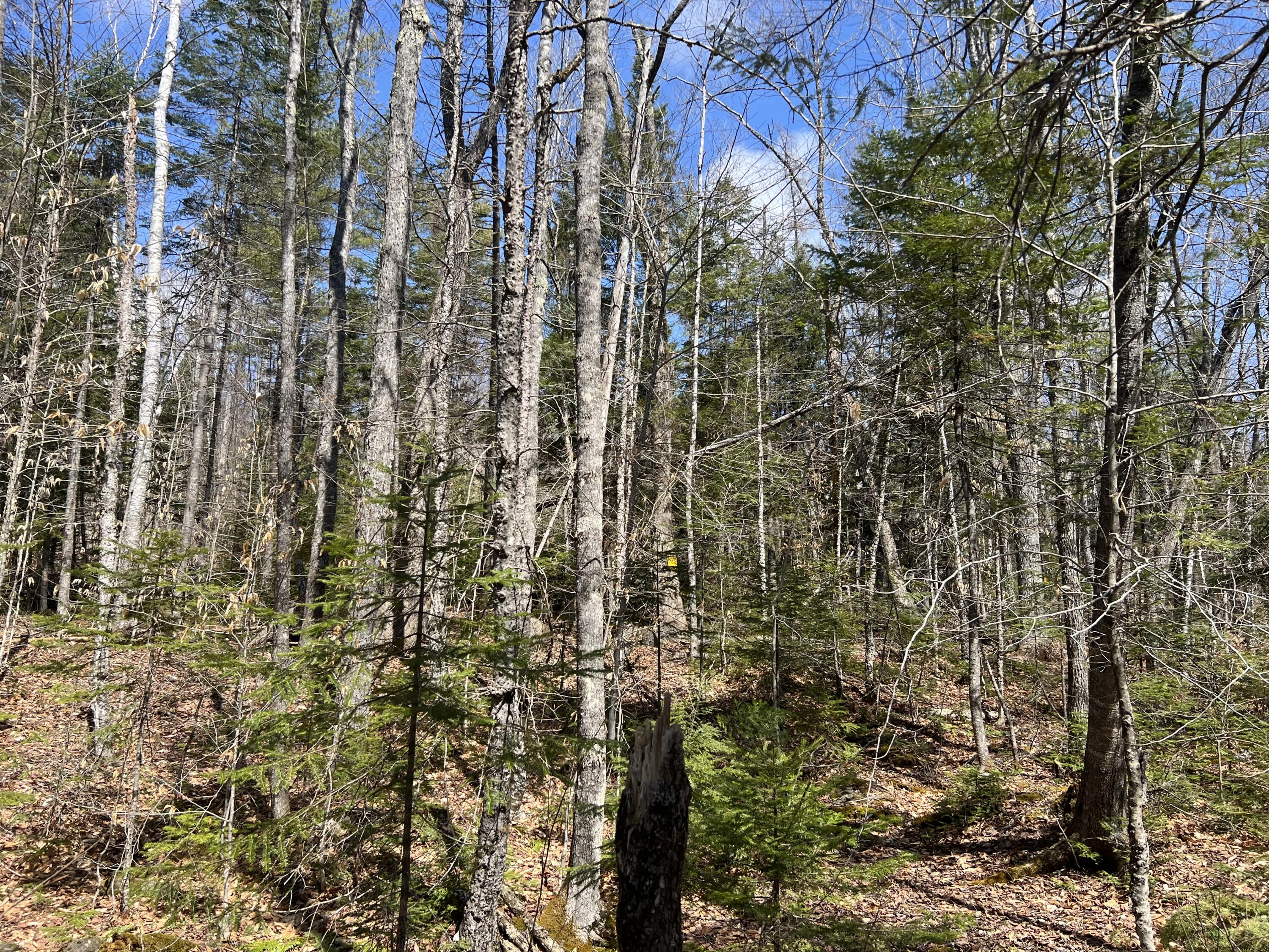 025-026 Between Goodrich N Mahoney Hil Bingham ME 04920