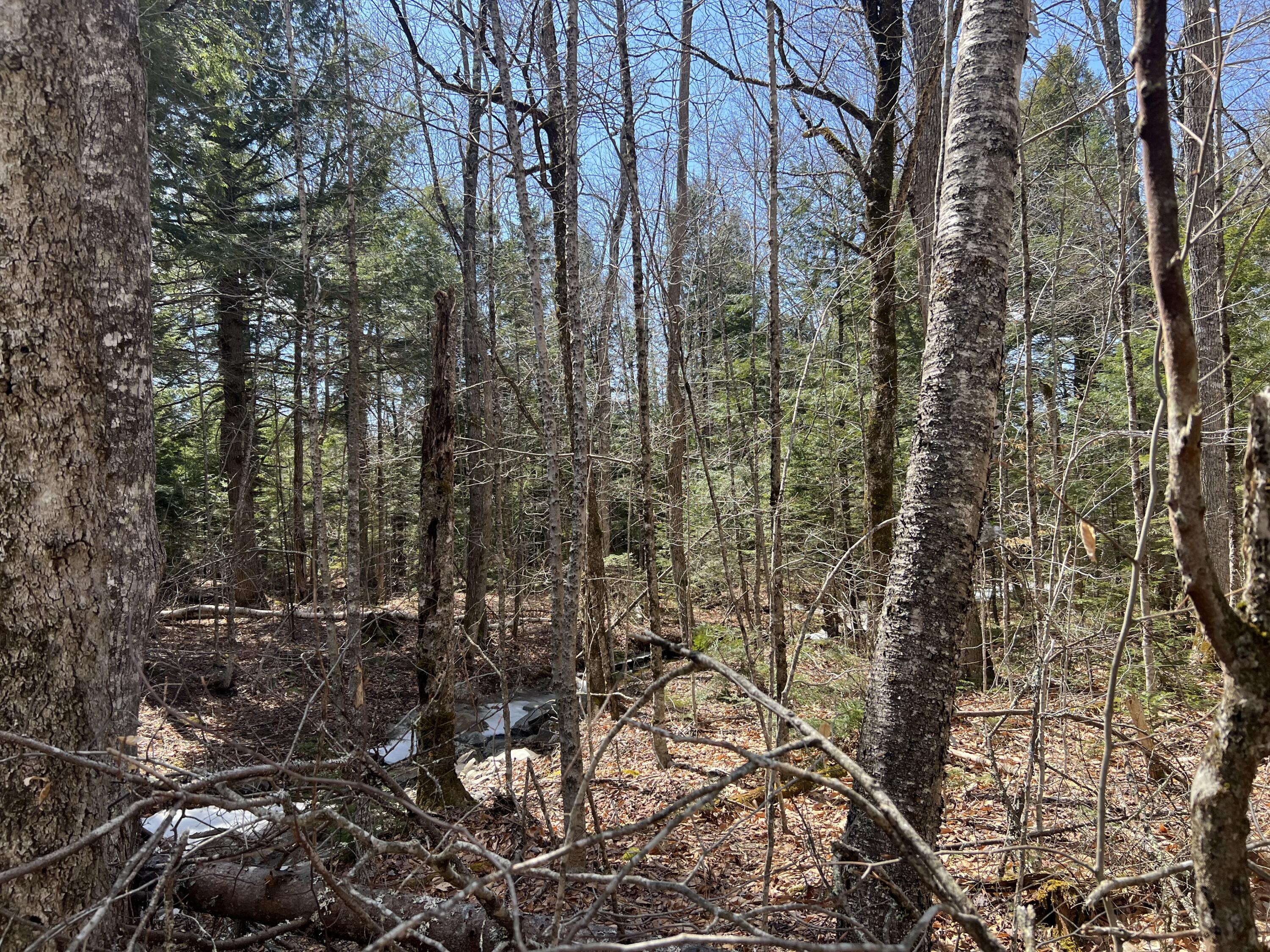 025-026 Between Goodrich N Mahoney Hil Bingham ME 04920