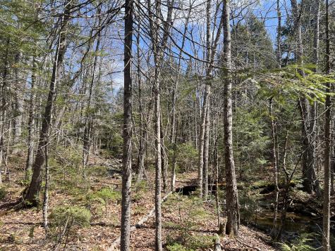 025-026 Between Goodrich N Mahoney Hil Bingham ME 04920