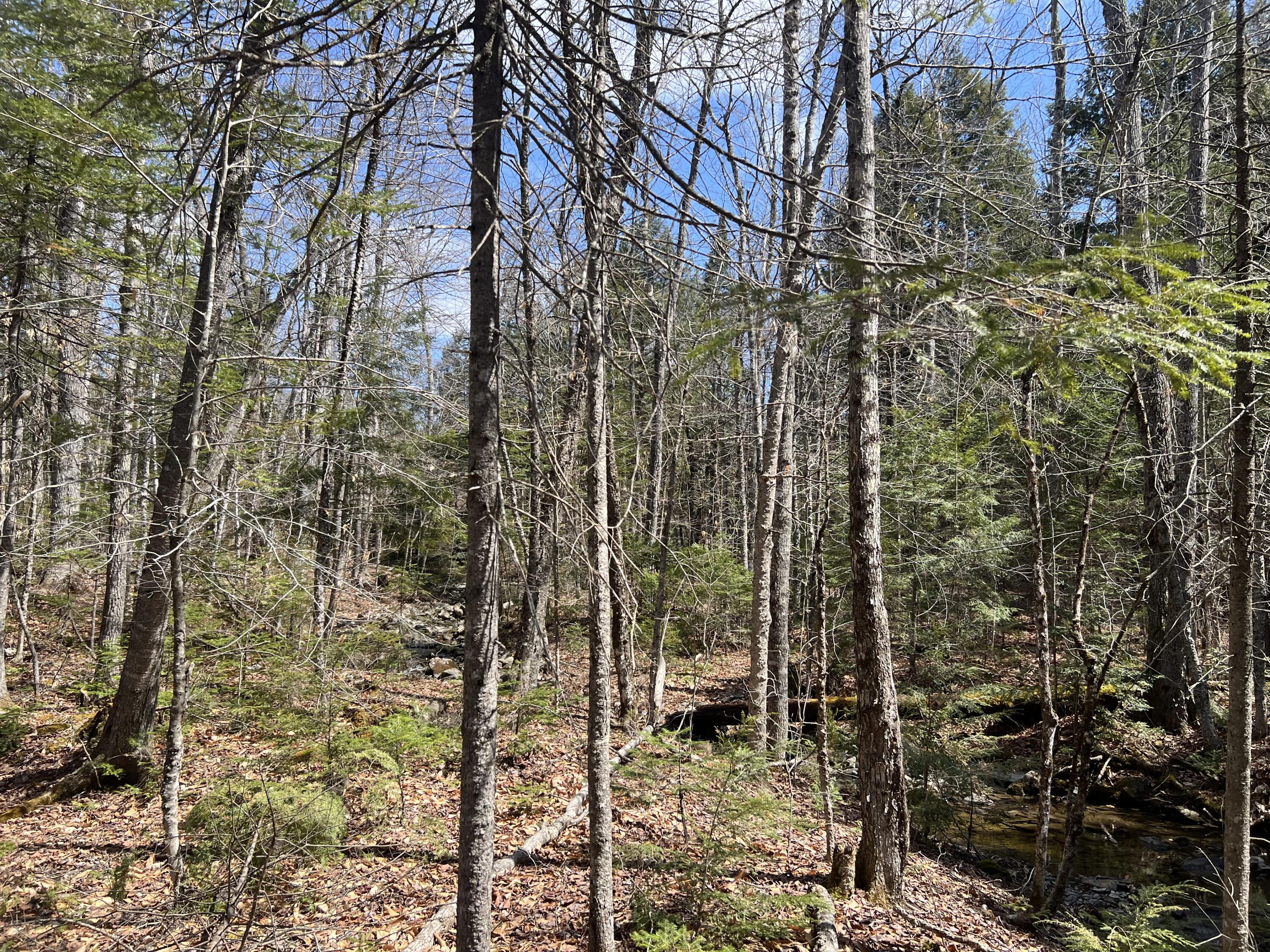 025-026 Between Goodrich N Mahoney Hil Bingham ME 04920