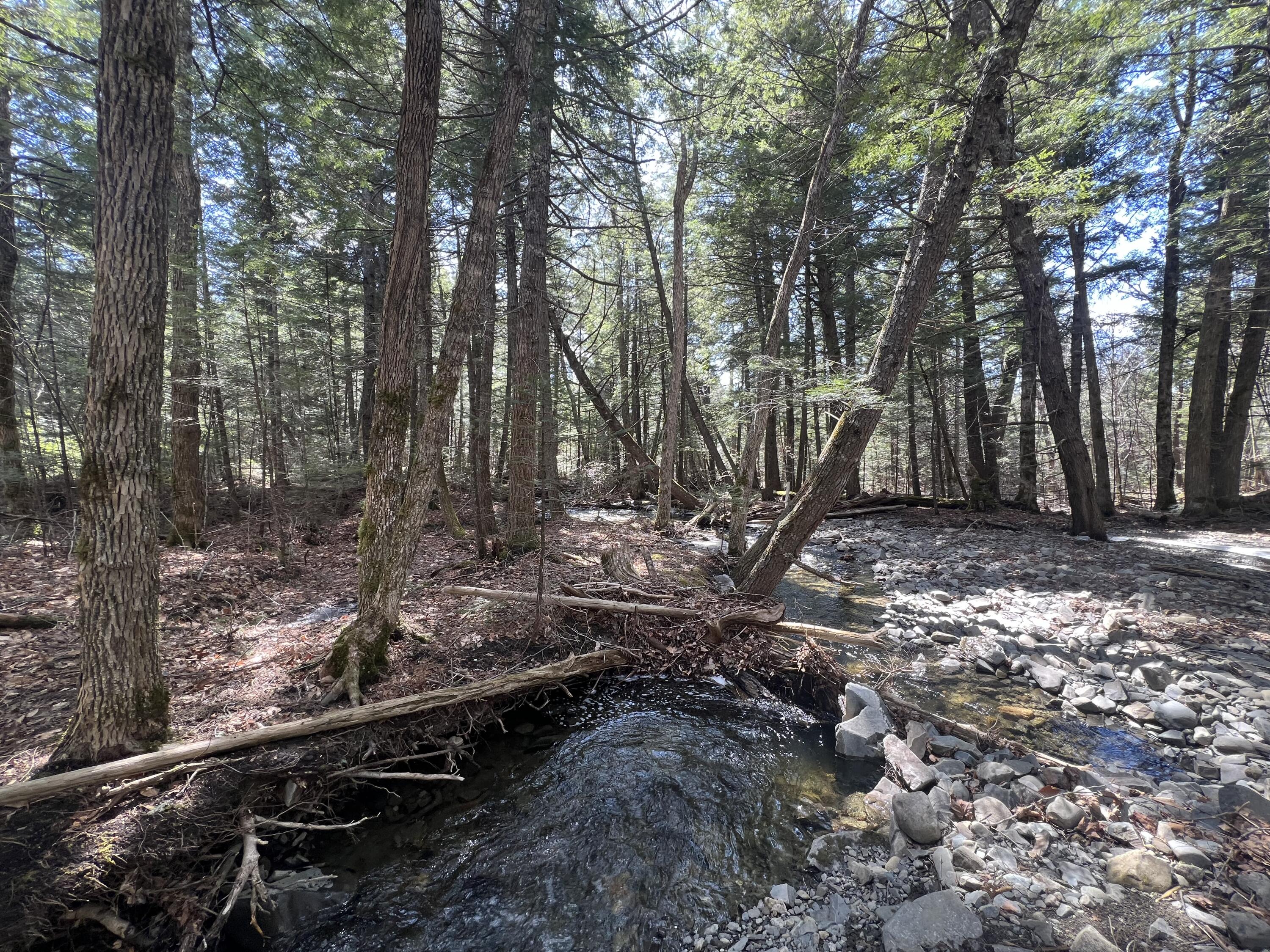 025-026 Between Goodrich N Mahoney Hil Bingham ME 04920