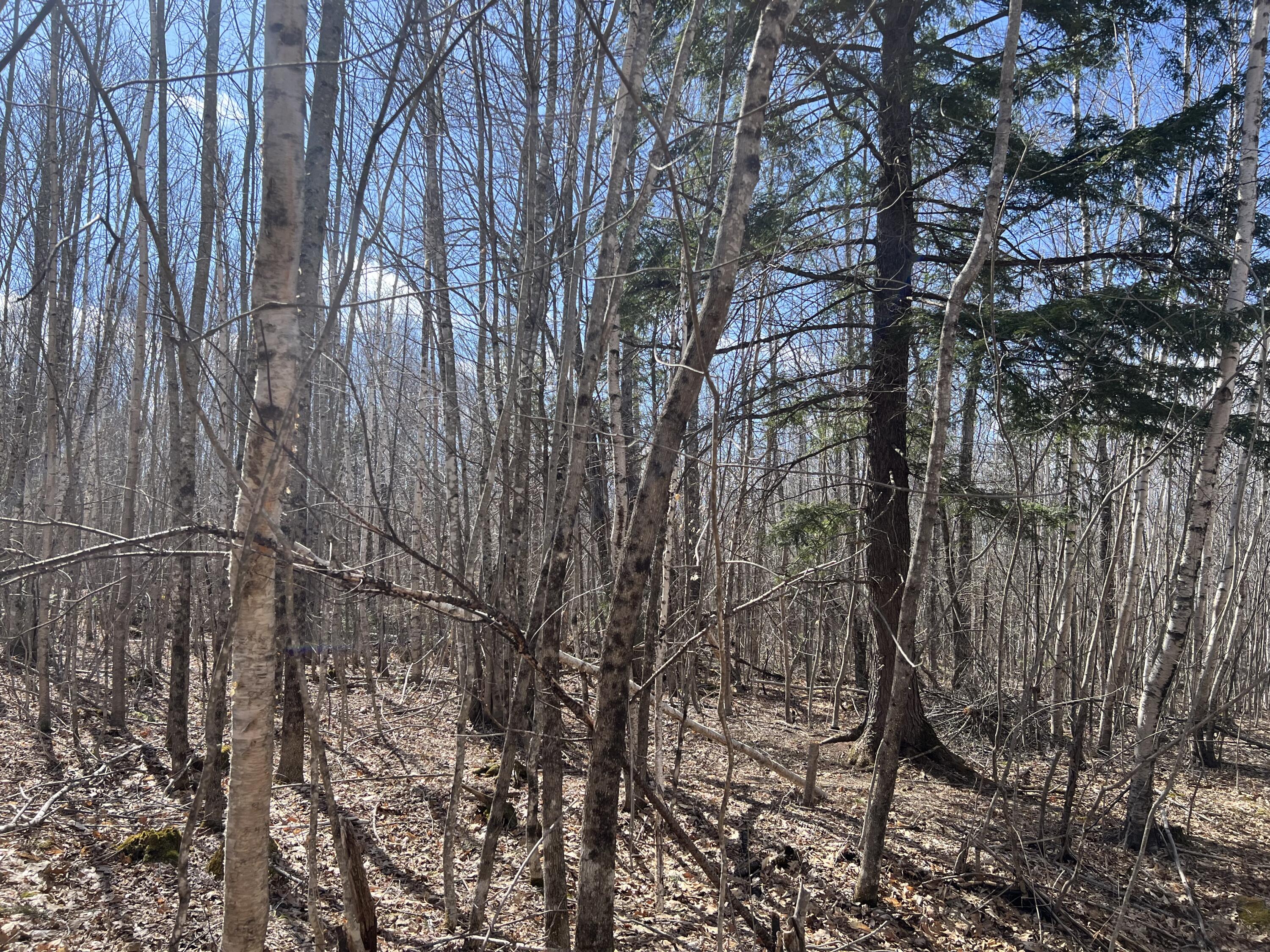 025-026 Between Goodrich N Mahoney Hil Bingham ME 04920