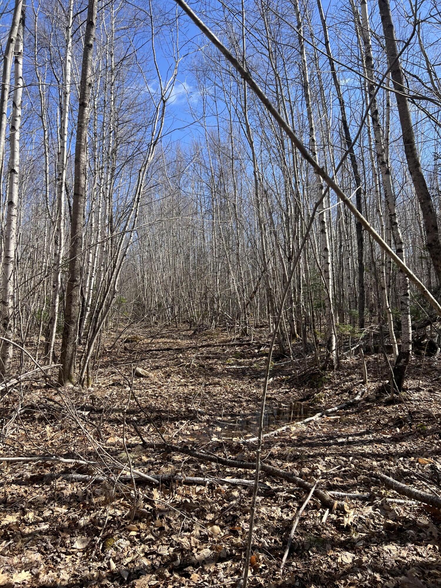 025-026 Between Goodrich N Mahoney Hil Bingham ME 04920