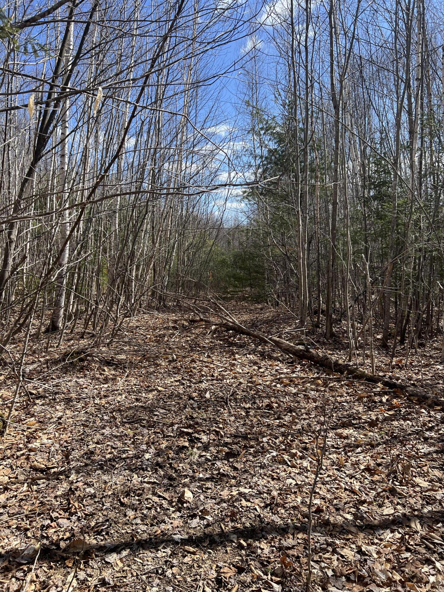 025-026 Between Goodrich N Mahoney Hil Bingham ME 04920