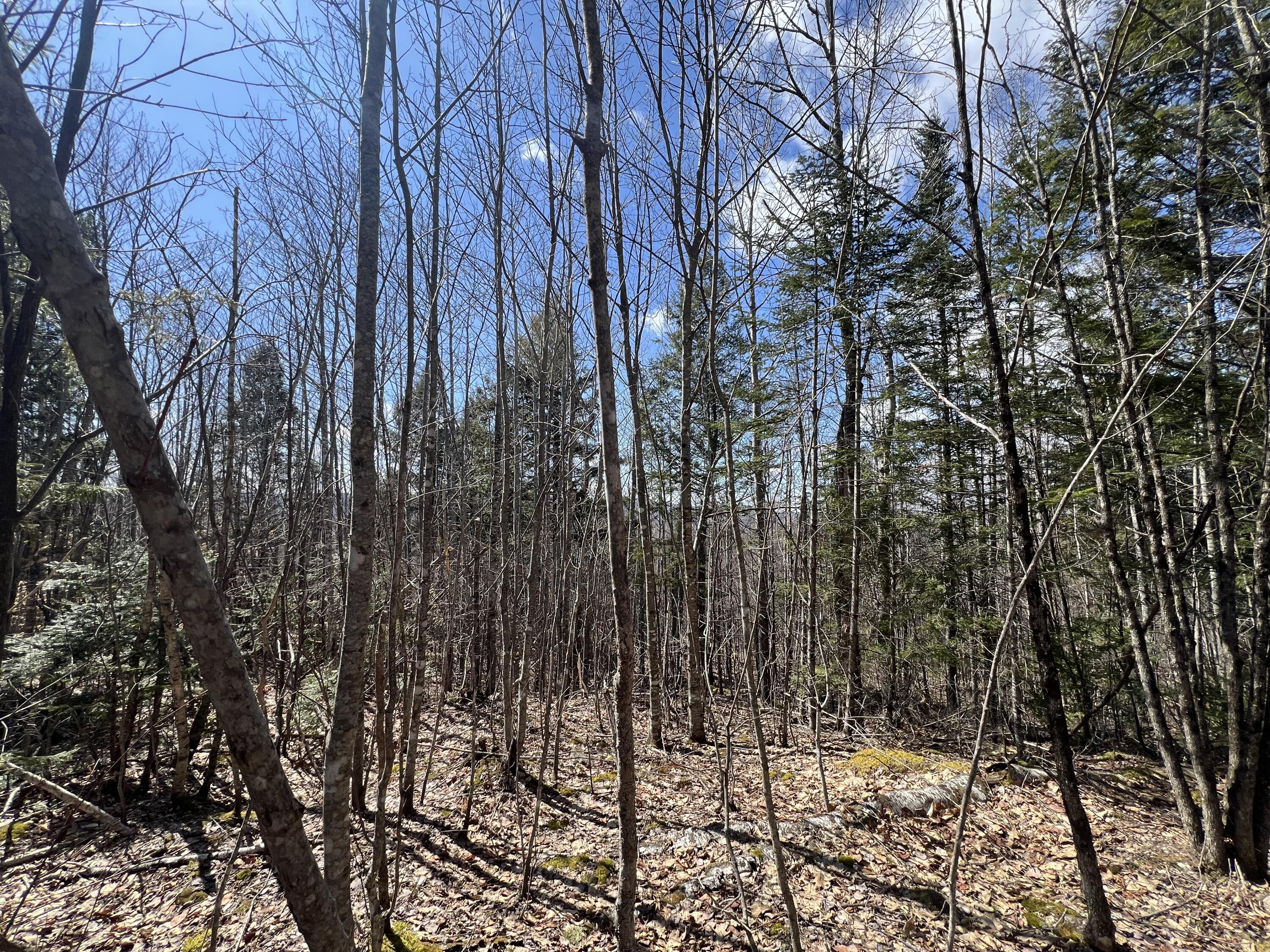 025-026 Between Goodrich N Mahoney Hil Bingham ME 04920