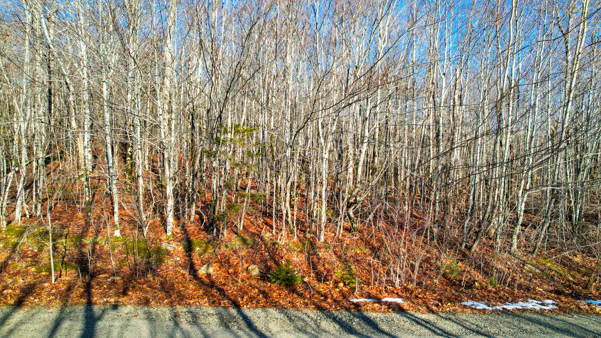 0 Old County Way Ellsworth ME 04605