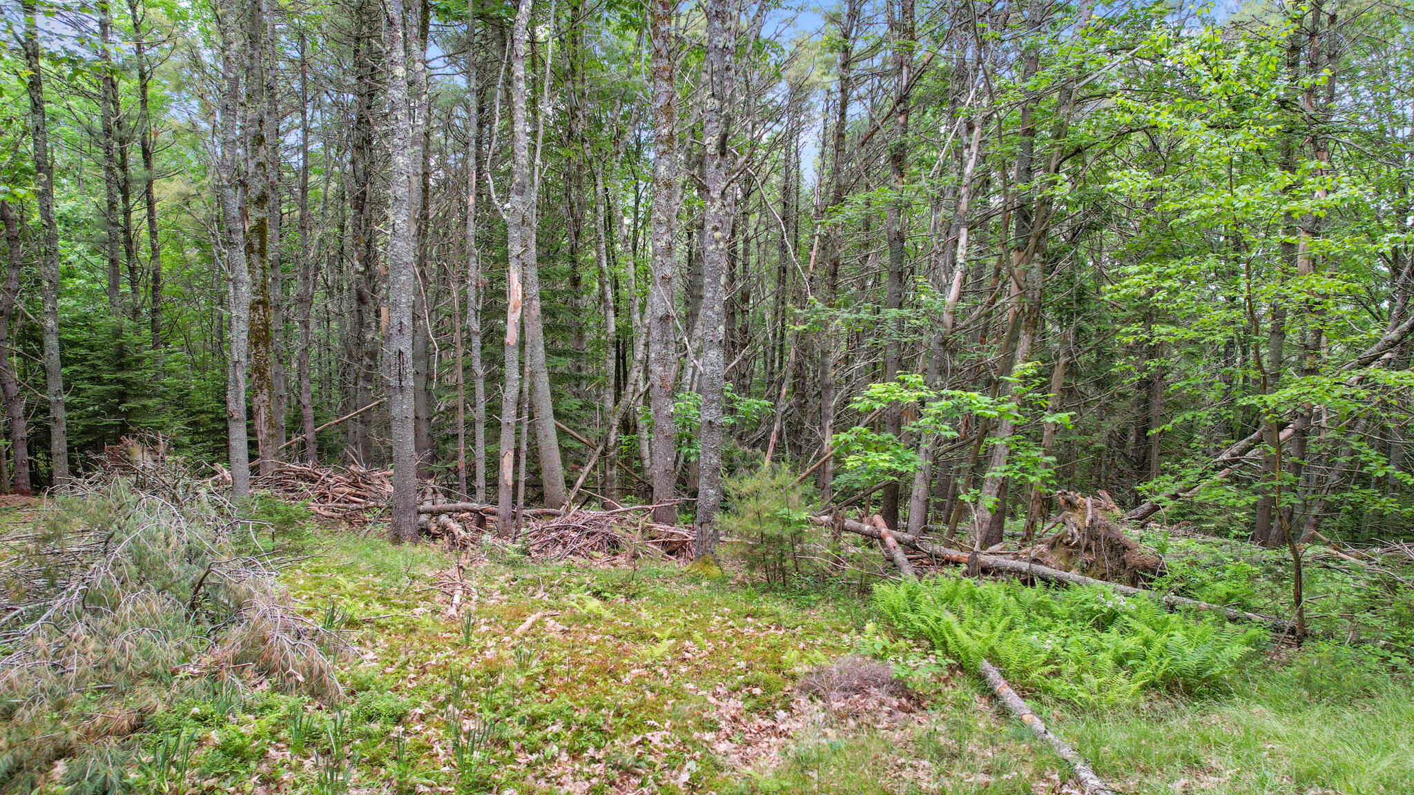 00 Front Ridge Road Orland ME 04472