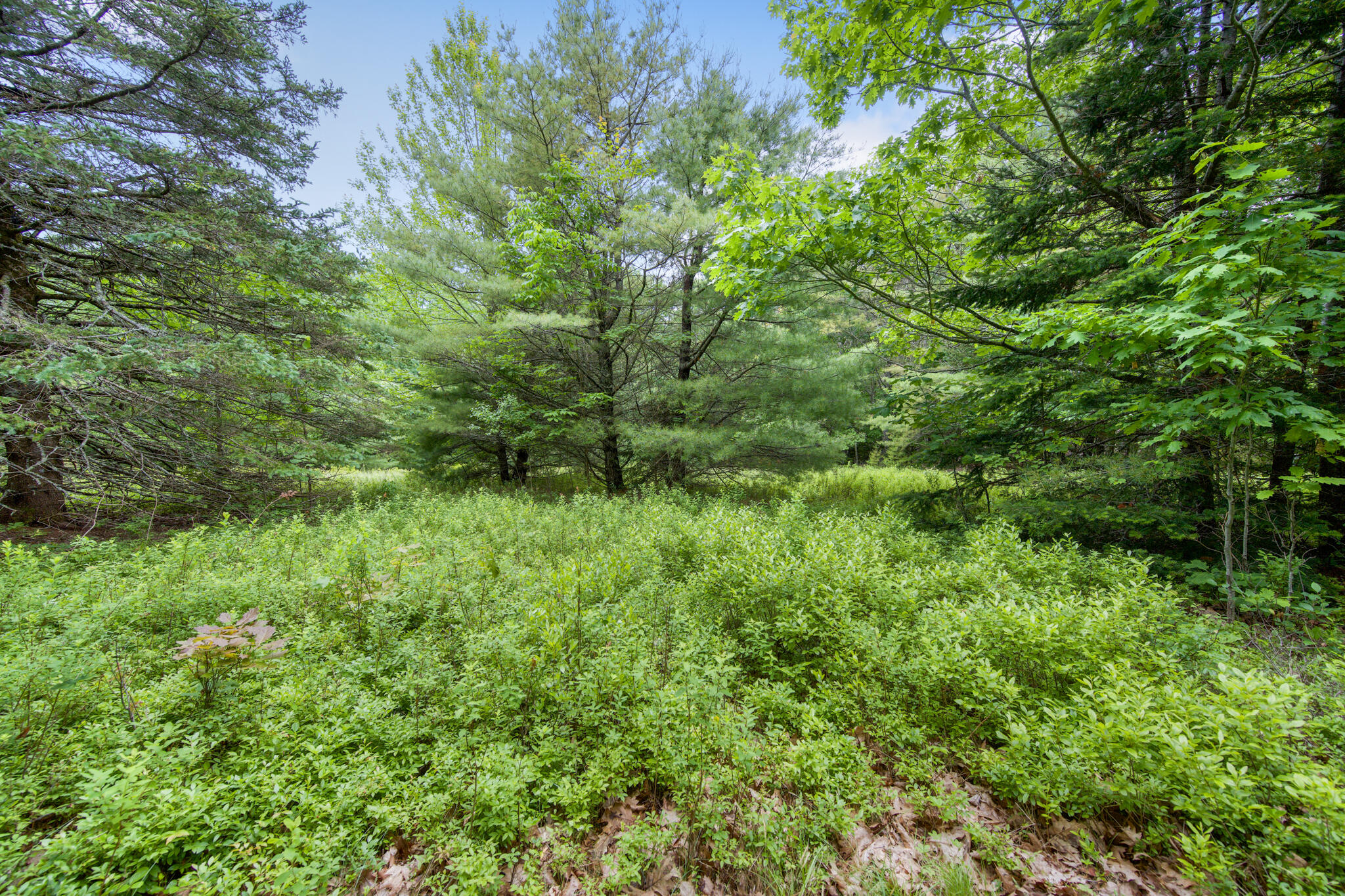 00 Front Ridge Road Orland ME 04472