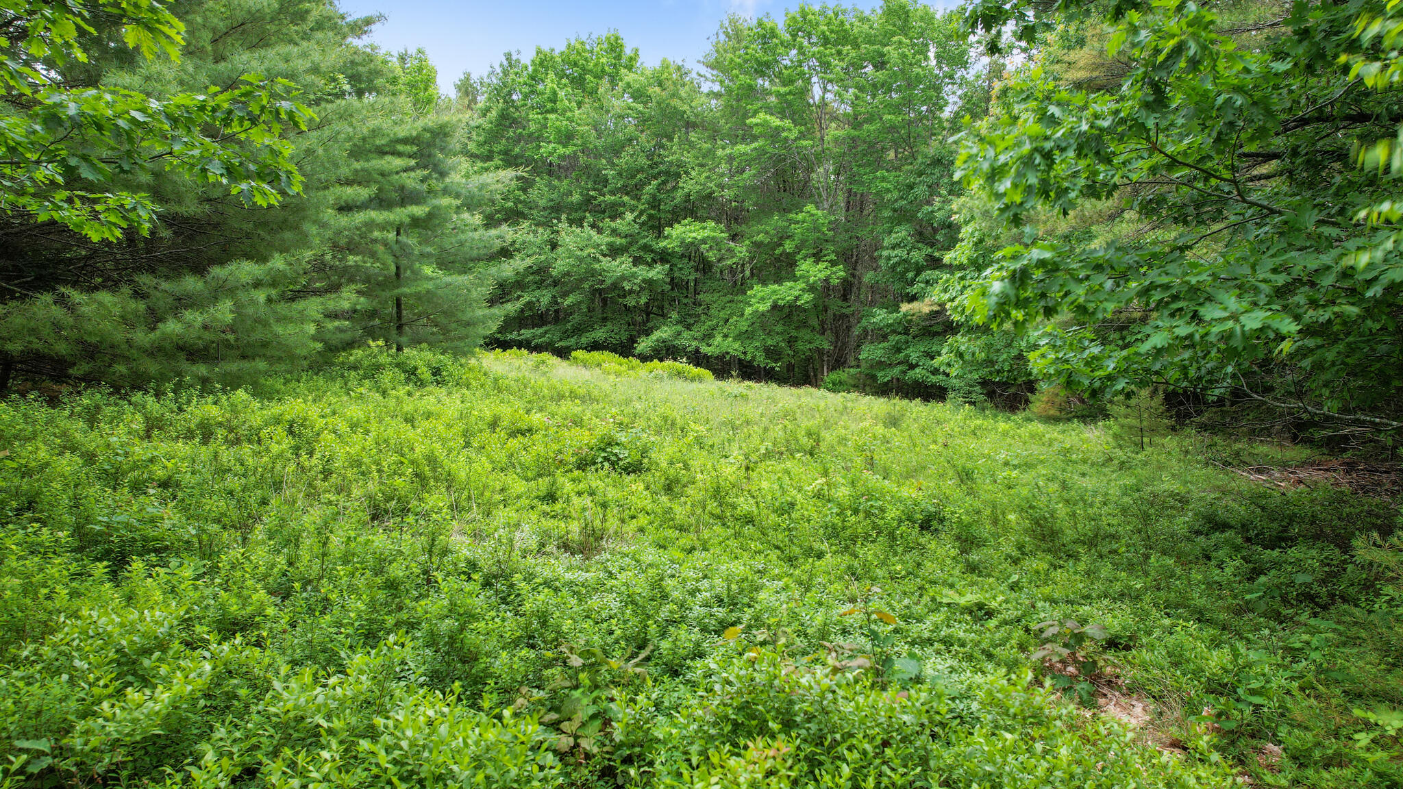 00 Front Ridge Road Orland ME 04472