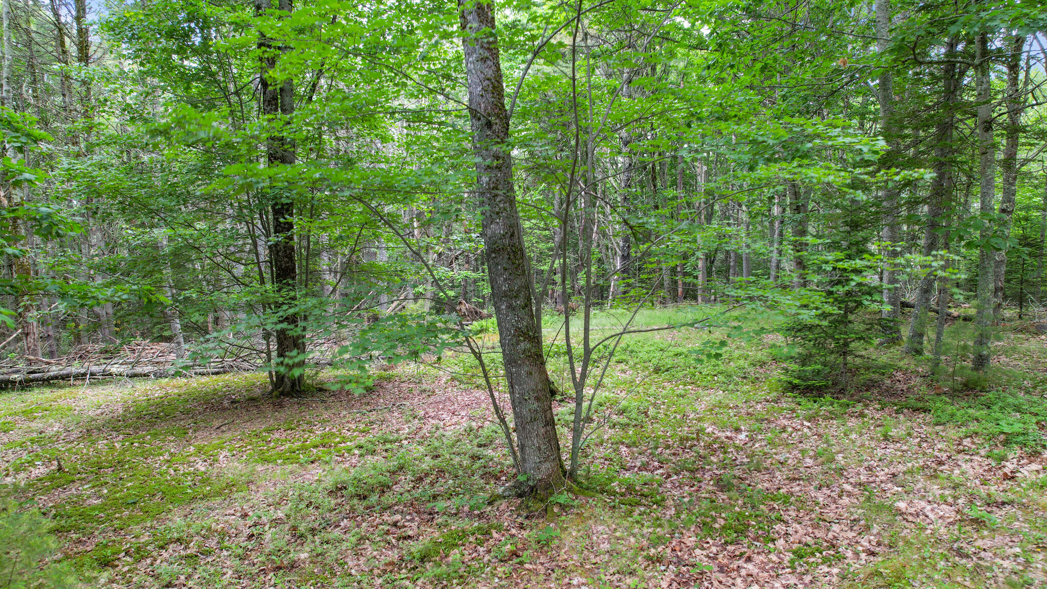 00 Front Ridge Road Orland ME 04472