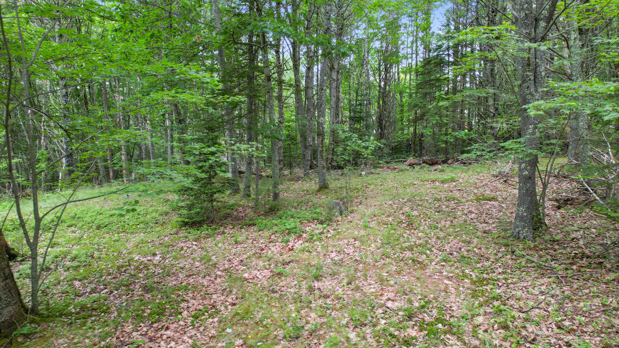 00 Front Ridge Road Orland ME 04472