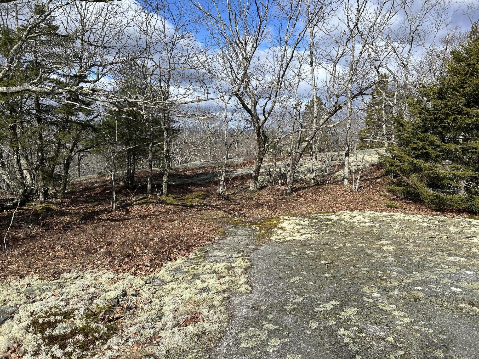 MAP8LOT6 Camp Prospect ME 04981