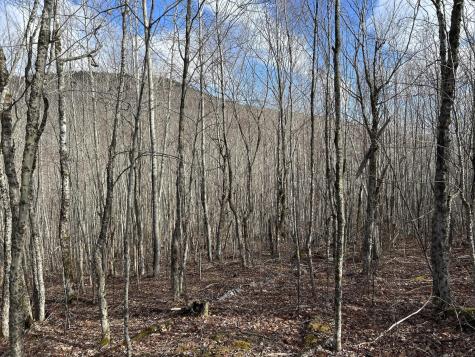 MAP8LOT6 Camp Prospect ME 04981