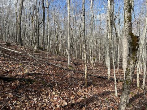 MAP8LOT6 Camp Prospect ME 04981