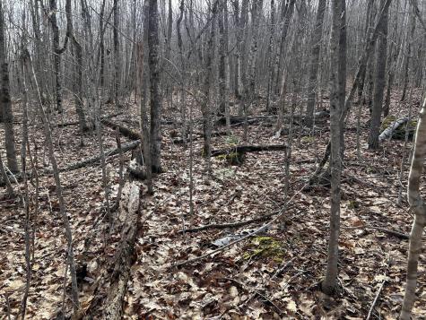 MAP8LOT6 Camp Prospect ME 04981