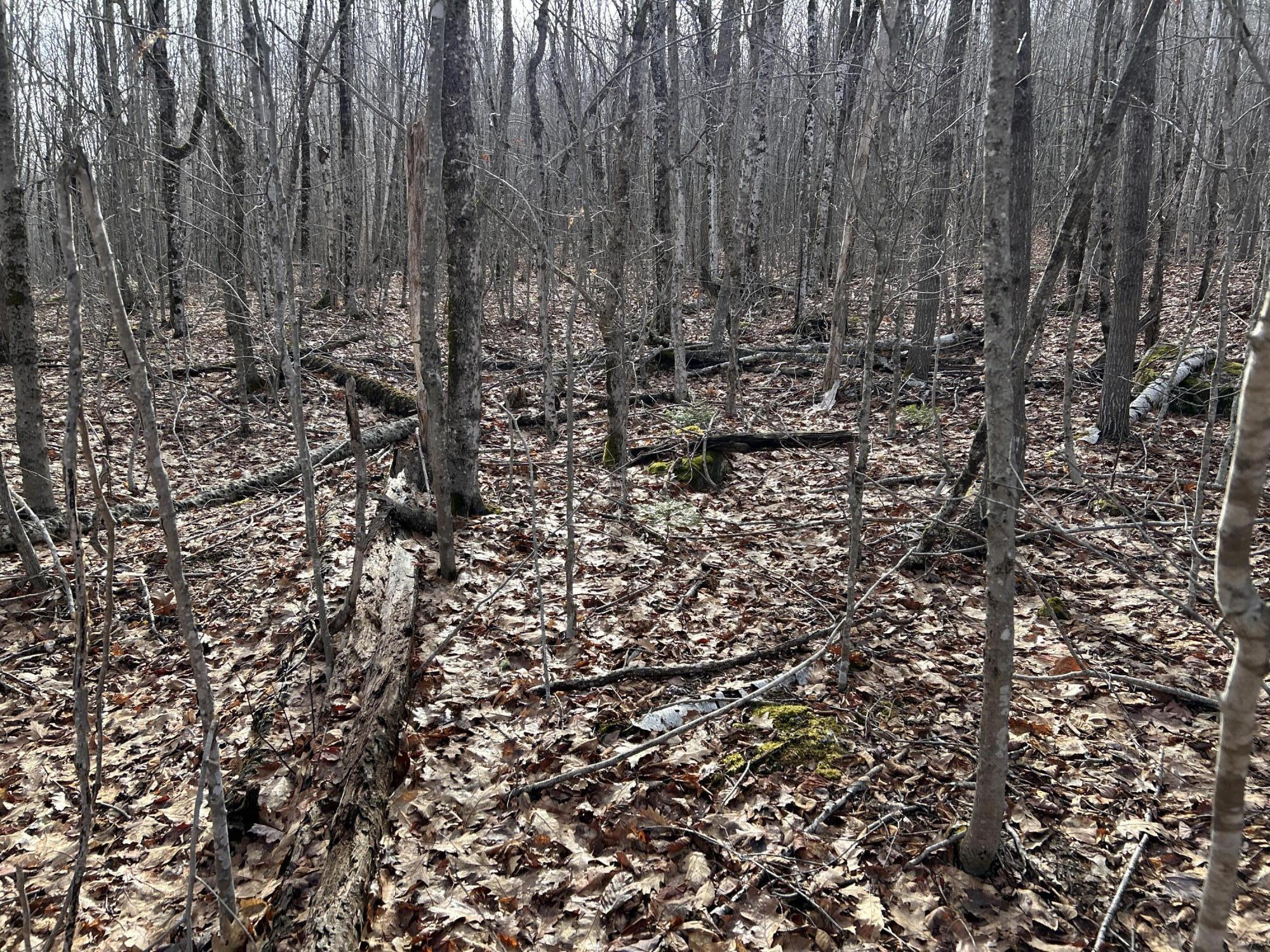 MAP8LOT6 Camp Prospect ME 04981