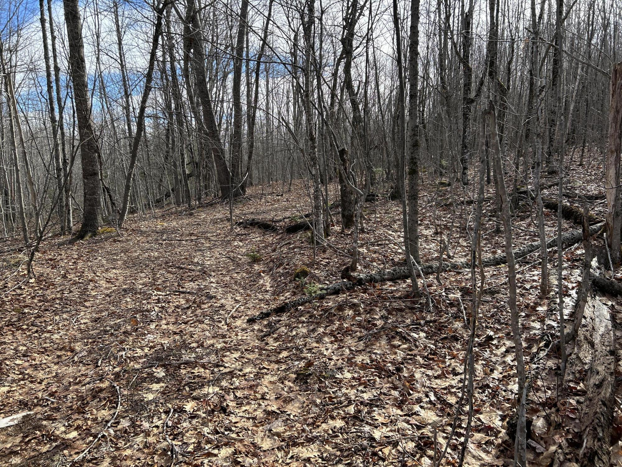 MAP8LOT6 Camp Prospect ME 04981