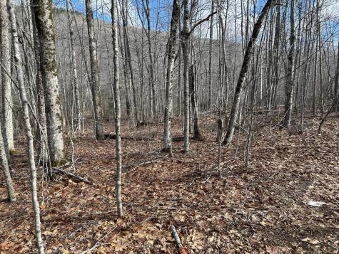 MAP8LOT6 Camp Prospect ME 04981