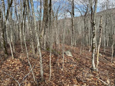 MAP8LOT6 Camp Prospect ME 04981
