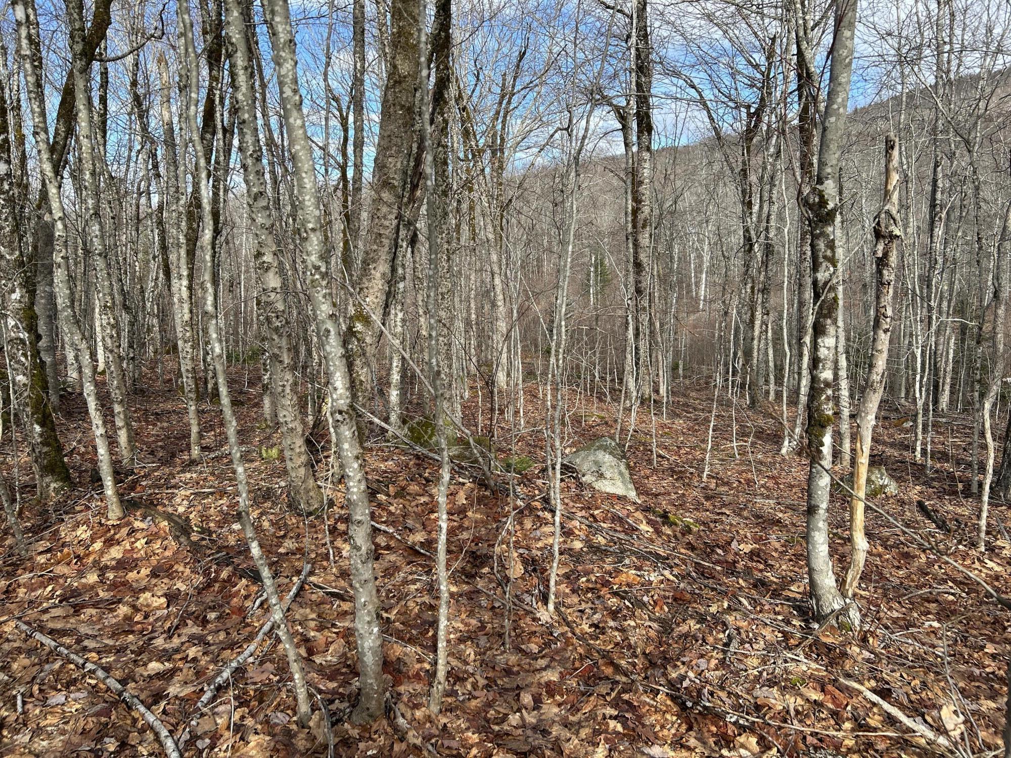 MAP8LOT6 Camp Prospect ME 04981