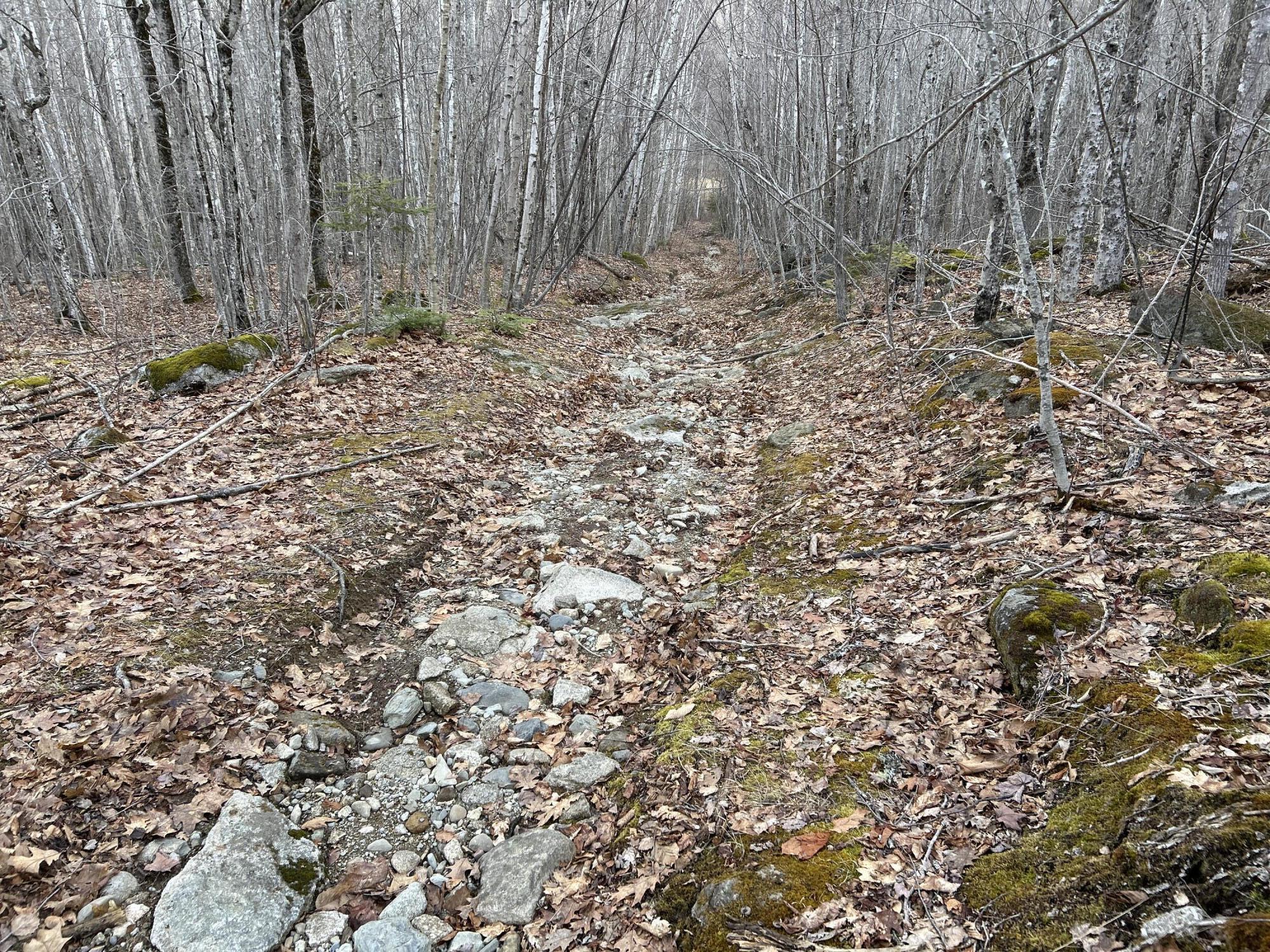 MAP8LOT6 Camp Prospect ME 04981