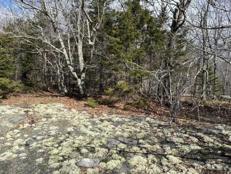 MAP8LOT6 Camp Prospect ME 04981
