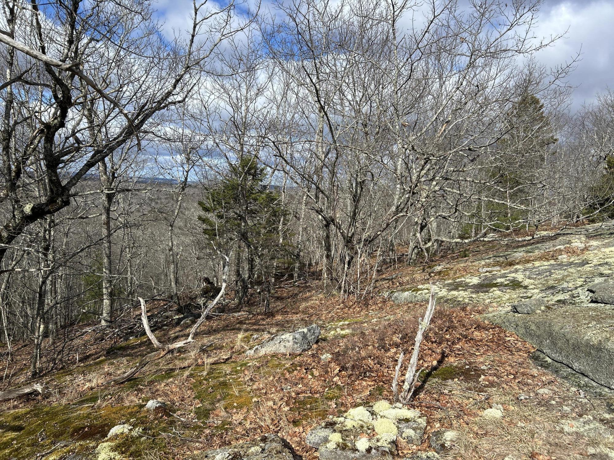 MAP8LOT6 Camp Prospect ME 04981