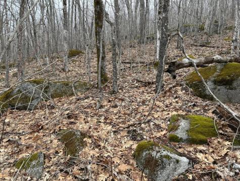 MAP8LOT6 Camp Prospect ME 04981