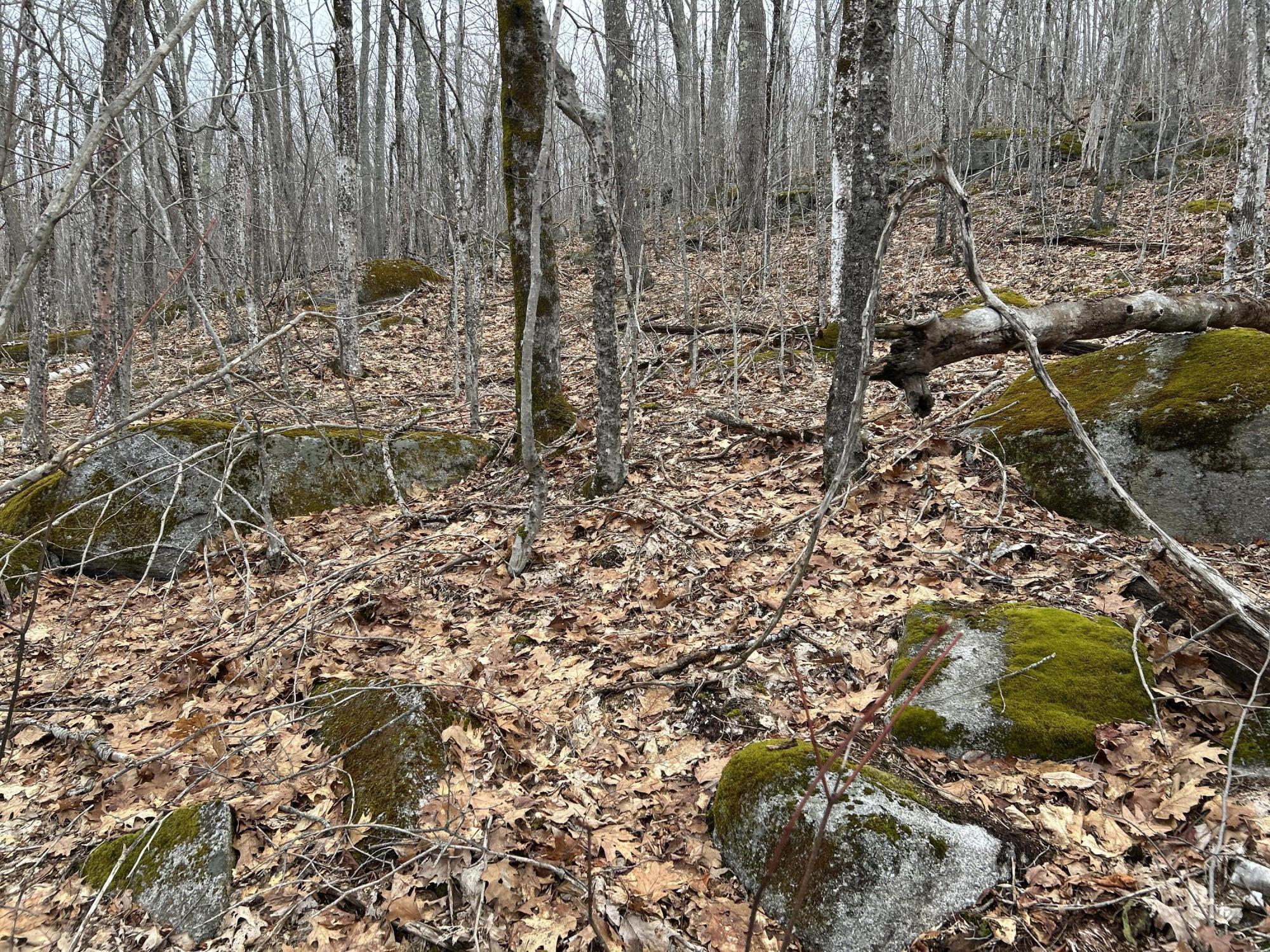 MAP8LOT6 Camp Prospect ME 04981