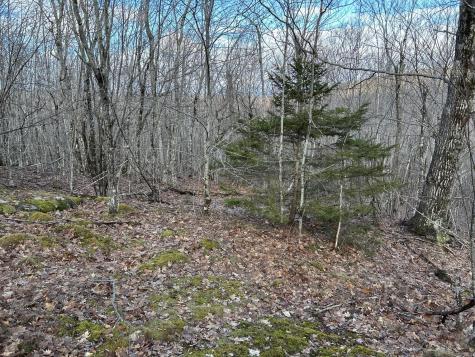 MAP8LOT6 Camp Prospect ME 04981
