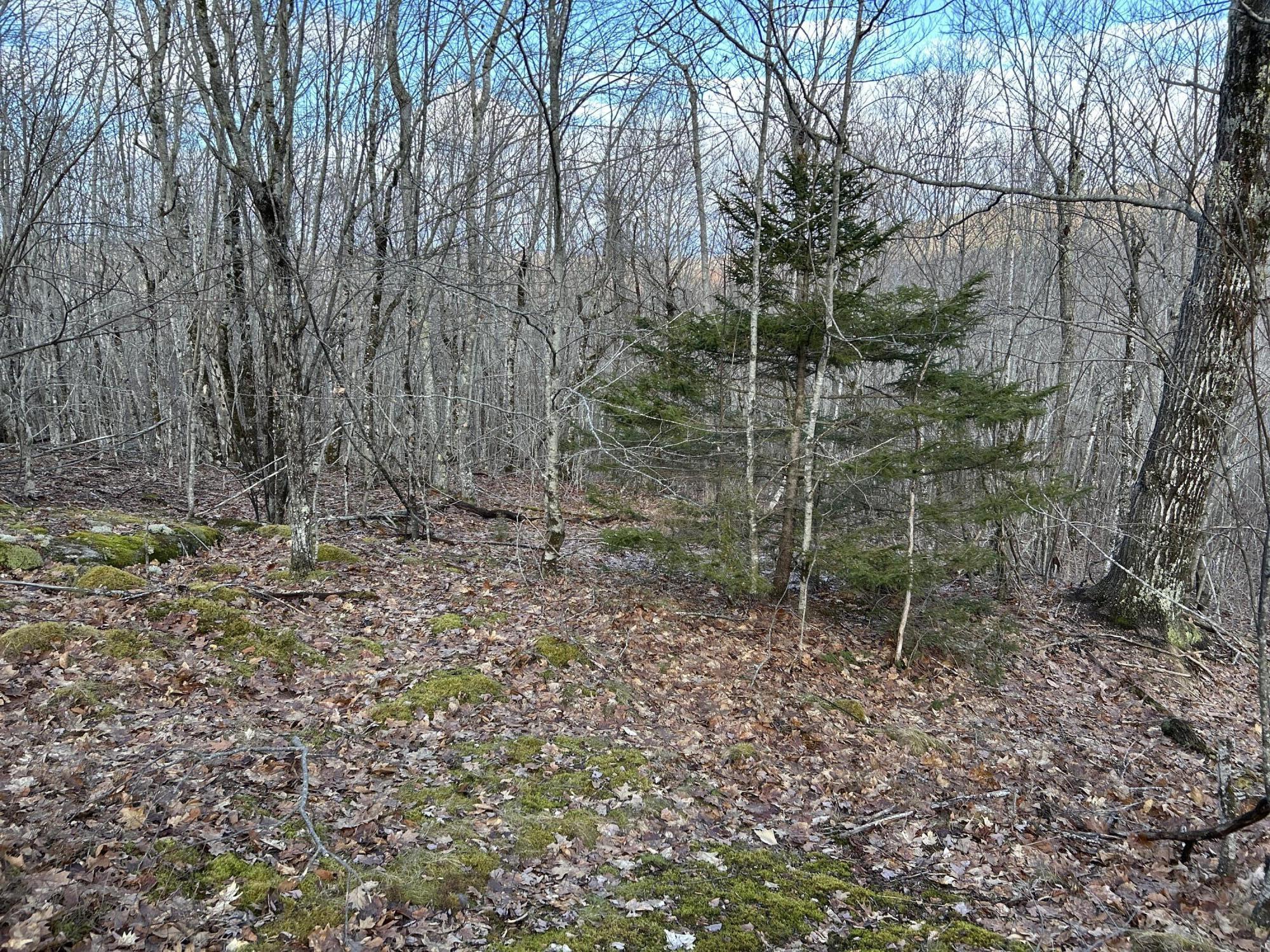 MAP8LOT6 Camp Prospect ME 04981