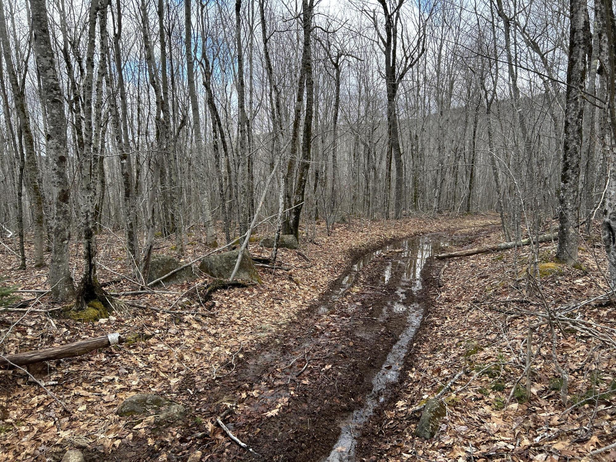 MAP8LOT6 Camp Prospect ME 04981