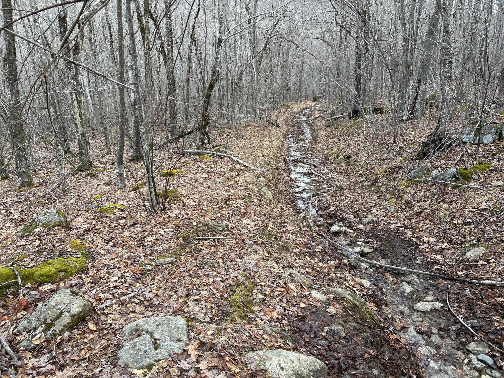 MAP8LOT6 Camp Prospect ME 04981