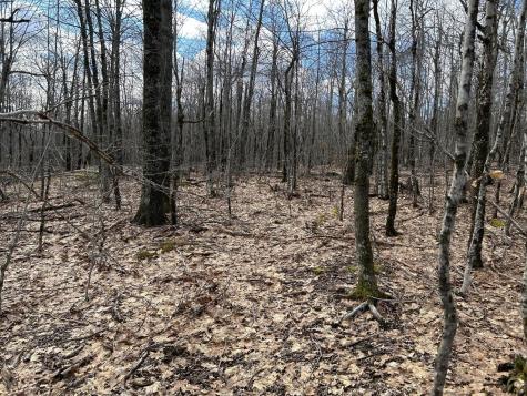 MAP8LOT6 Camp Prospect ME 04981