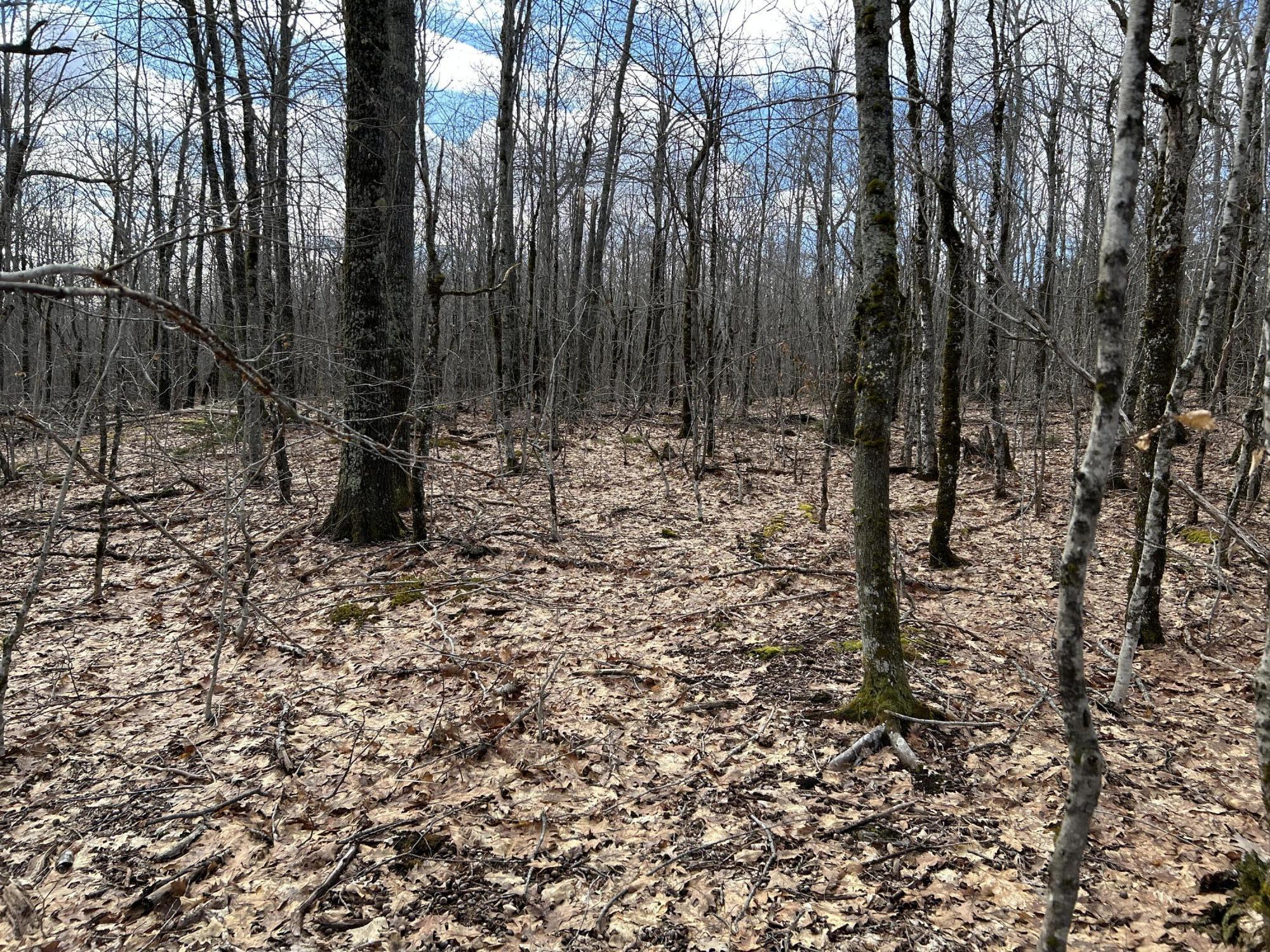 MAP8LOT6 Camp Prospect ME 04981