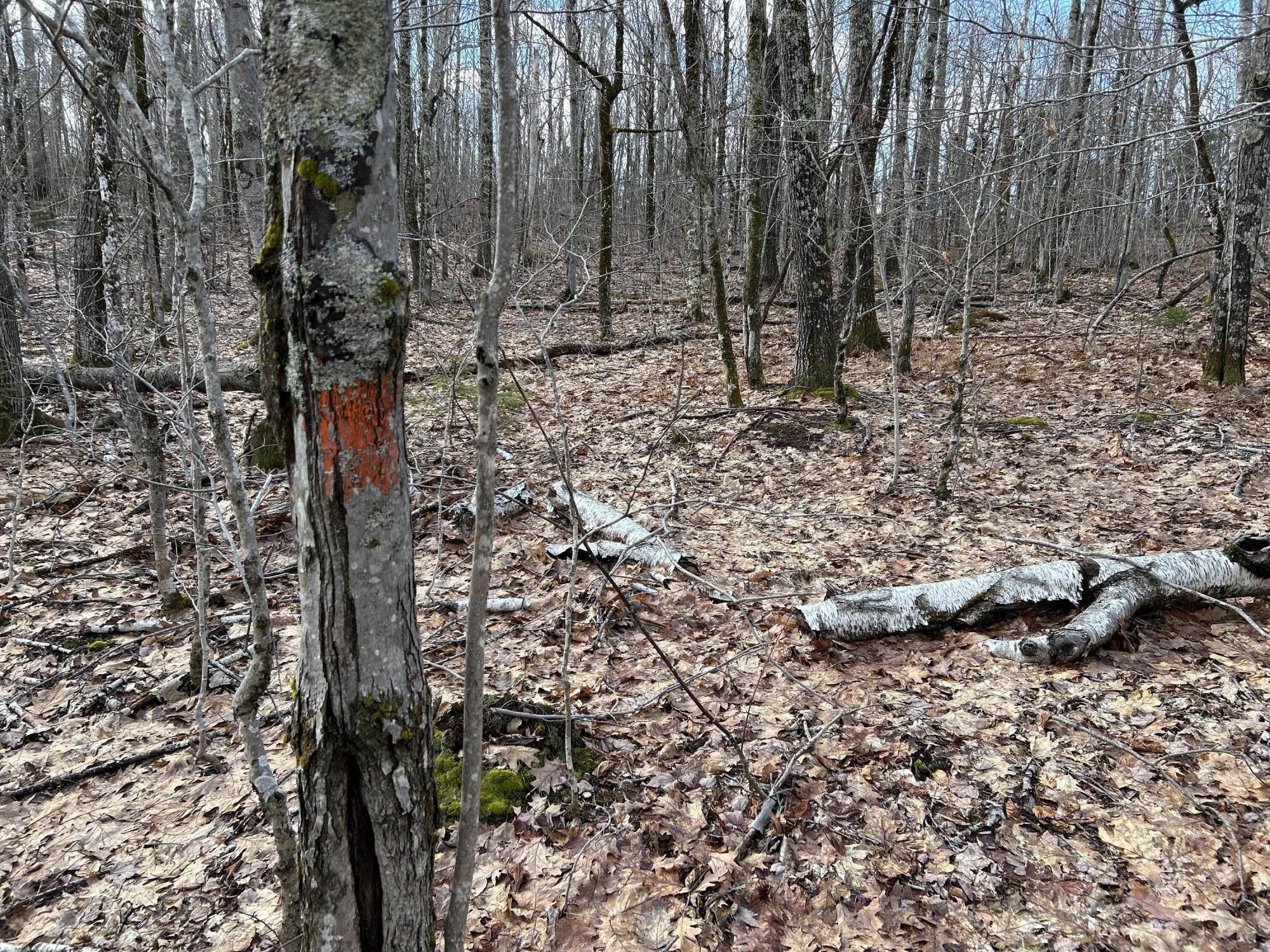 MAP8LOT6 Camp Prospect ME 04981