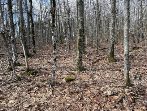 MAP8LOT6 Camp Prospect ME 04981