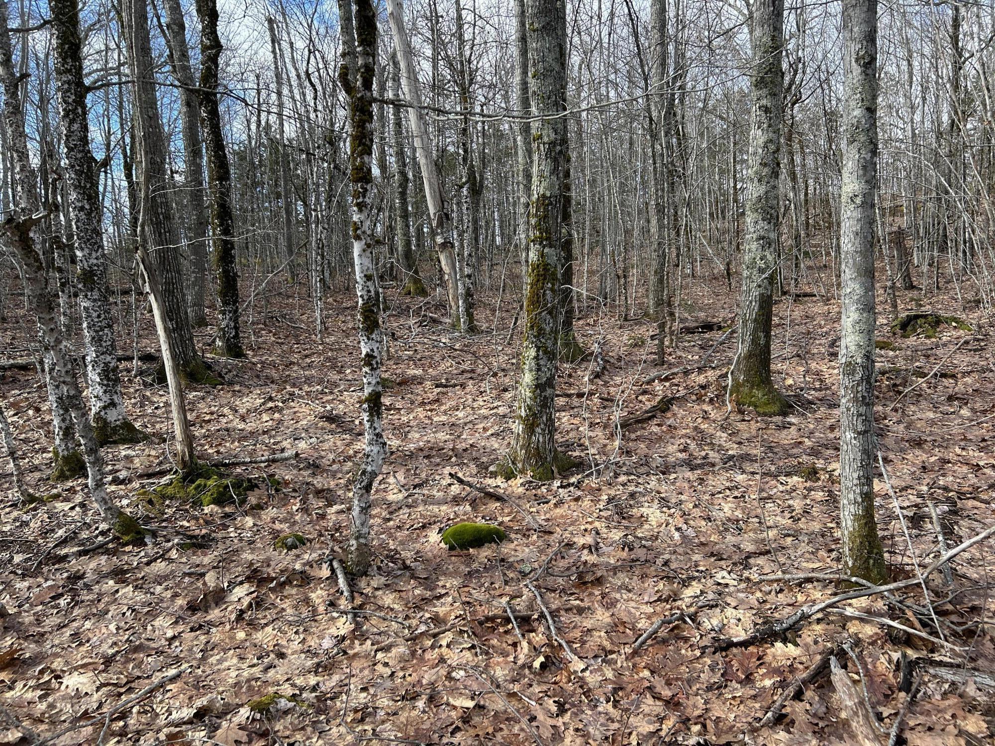 MAP8LOT6 Camp Prospect ME 04981