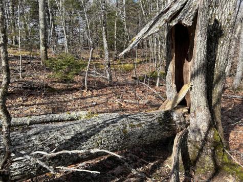 MAP8LOT6 Camp Prospect ME 04981