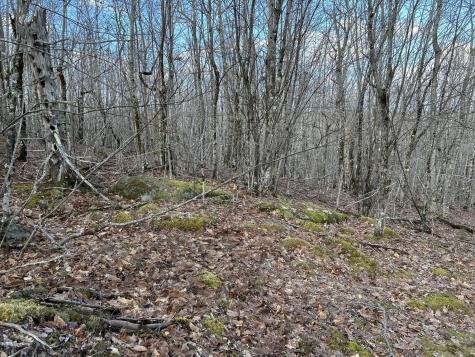 MAP8LOT6 Camp Prospect ME 04981