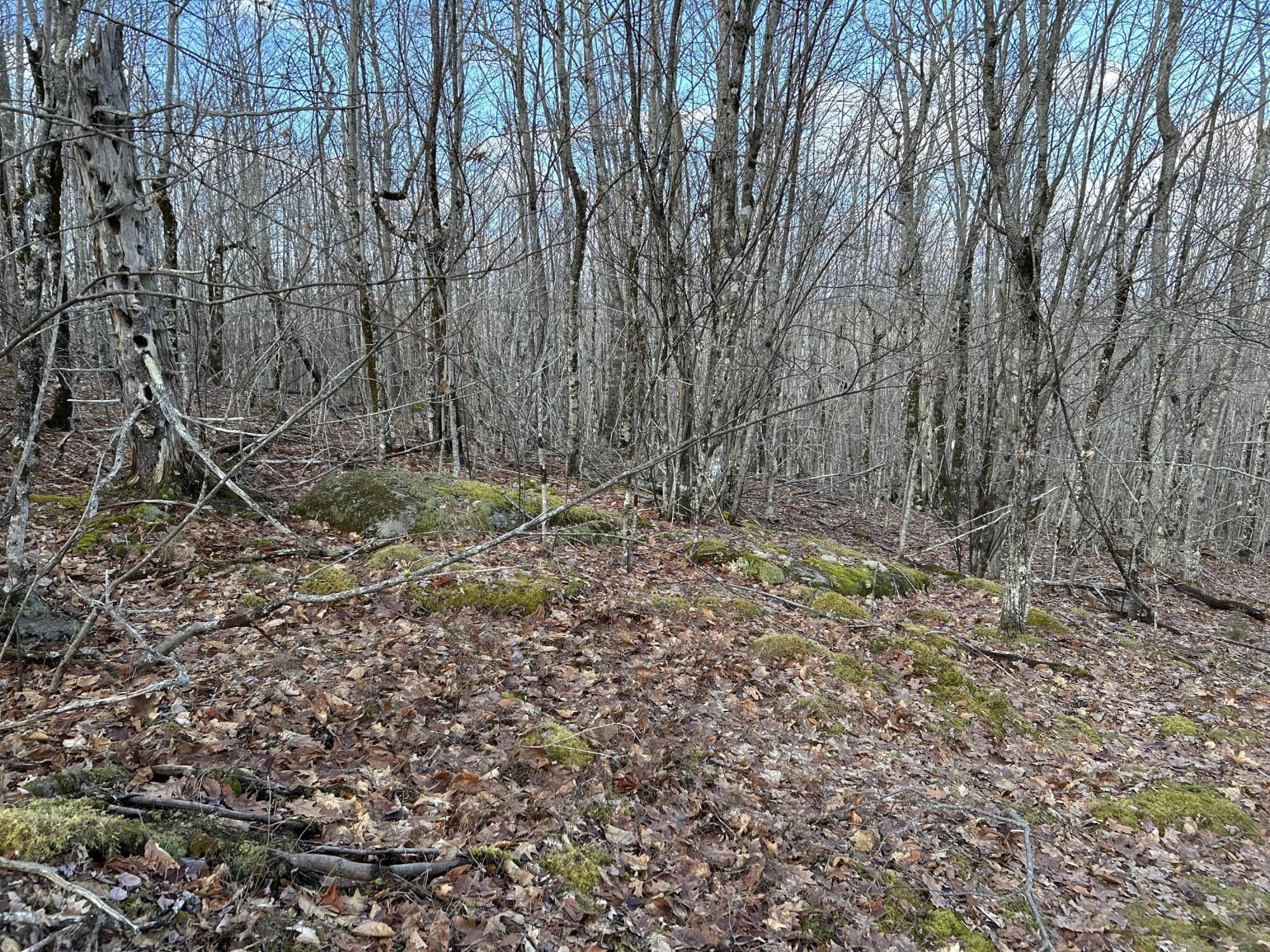 MAP8LOT6 Camp Prospect ME 04981