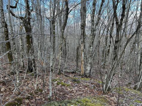 MAP8LOT6 Camp Prospect ME 04981