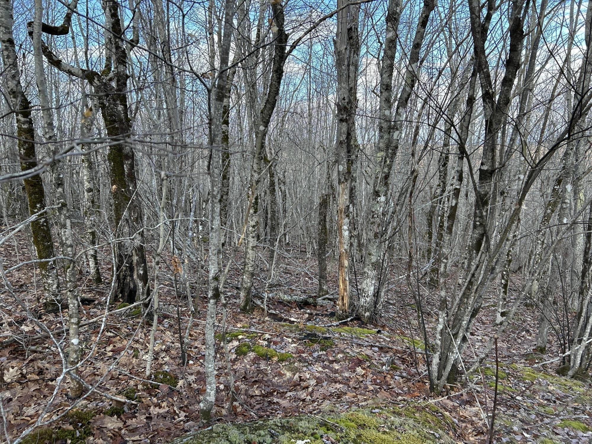 MAP8LOT6 Camp Prospect ME 04981