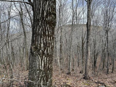MAP8LOT6 Camp Prospect ME 04981