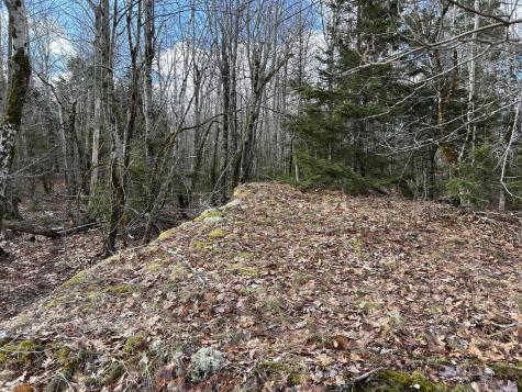 MAP8LOT6 Camp Prospect ME 04981