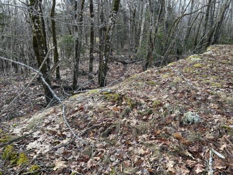 MAP8LOT6 Camp Prospect ME 04981