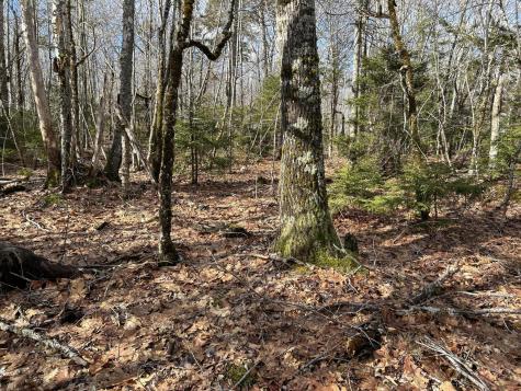 MAP8LOT6 Camp Prospect ME 04981