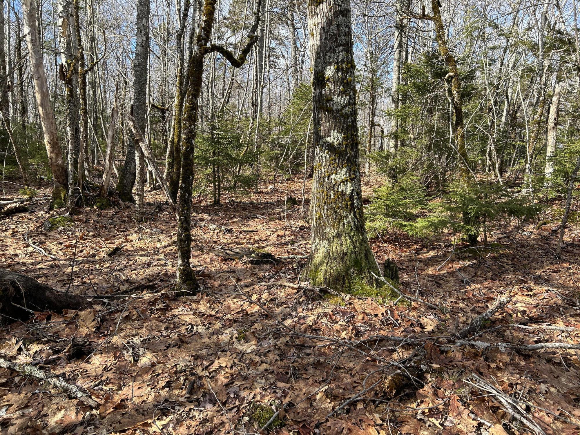 MAP8LOT6 Camp Prospect ME 04981